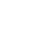 Отчет о проекте промышленной переработки чеснока