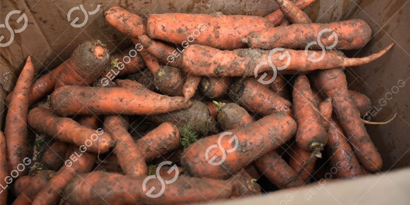 завод по переработке полевой моркови
