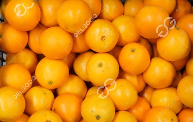 Машина для сортировки цитрусовых